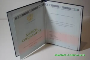 Купить диплом Мурманского филиала СГА — Мурманского филиала Современной гуманитарной академии в Новосибирске